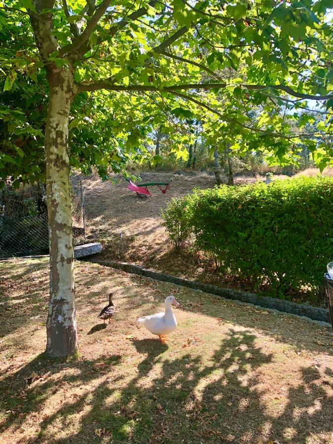 Vila Casa Da Quinta Da Prelada Simao Partie Basse Celorico De Basto Exteriér fotografie