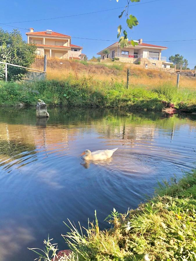 Vila Casa Da Quinta Da Prelada Simao Partie Basse Celorico De Basto Exteriér fotografie
