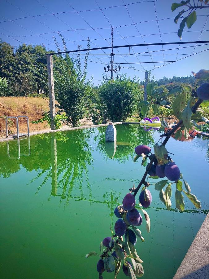 Vila Casa Da Quinta Da Prelada Simao Partie Basse Celorico De Basto Exteriér fotografie
