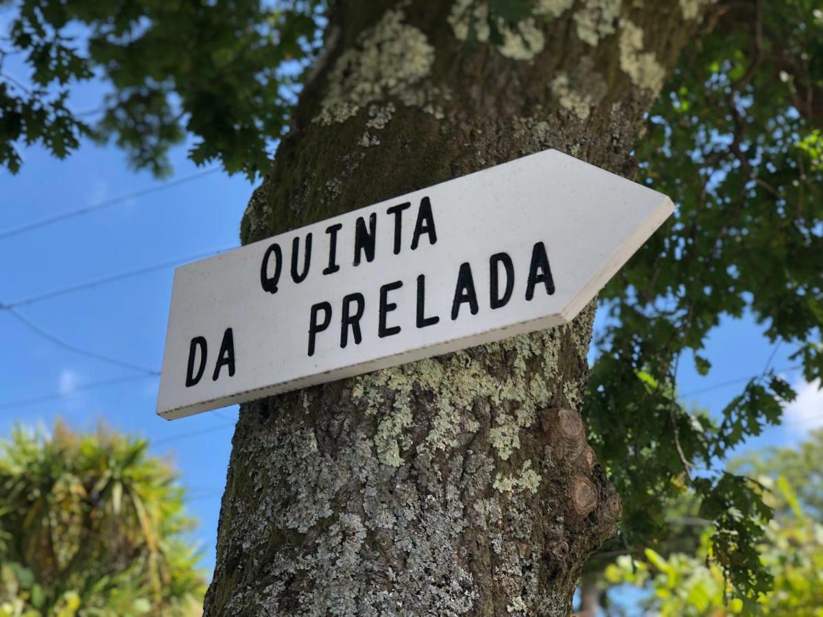 Vila Casa Da Quinta Da Prelada Simao Partie Basse Celorico De Basto Exteriér fotografie