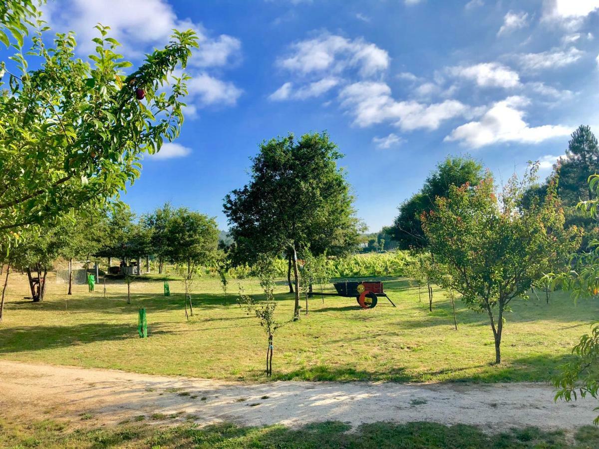 Vila Casa Da Quinta Da Prelada Simao Partie Basse Celorico De Basto Exteriér fotografie